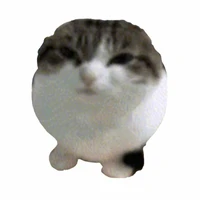 duli là tui