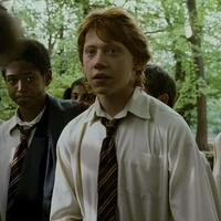 Ronald Weasley - Ron