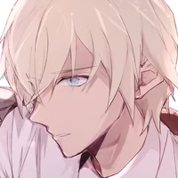 amuro tooru /furuya rei-bourbon/