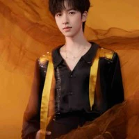 Hạ Tuấn Lâm