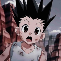 Gon Freecss