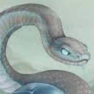 Trắng