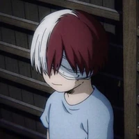 Todoroki Shoto / Childhood