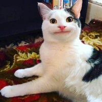 Tác giả