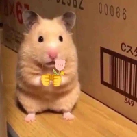 Tác giả đáng yêu đây