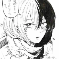 Shoto Todoroki