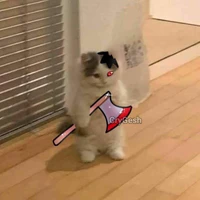 T/G