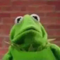 Animo,Nyatto fui