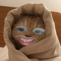 tác giả cute phô mai que hột me=))