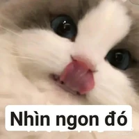 "ng đẹp" iu chục ngừiii🌷