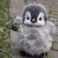 Tg bụi đời:))