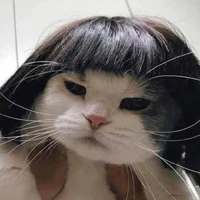 tác giả siêu lười:)))