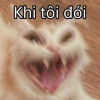 Tác giả ( jinz