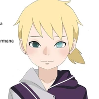 Shikajin Nara Yamanaka ( shikaino)