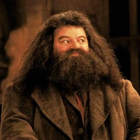rubeus hagrid
