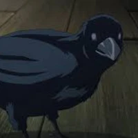 Quạ Của Các Trụ Cột