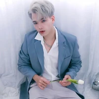 Mister Vịt