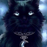 077 _ Lunar