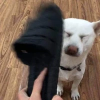 con điên thích Sanzu bị dduj nát cúc:)