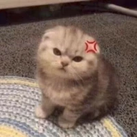 nhân vật qua đường