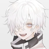Hikari Y/n