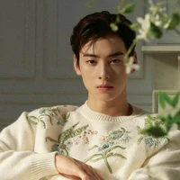 Cha Eun Woo - EW