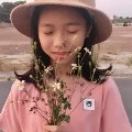 hồ thy
