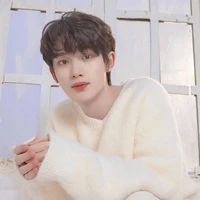 Đinh Trình Hâm