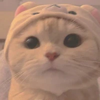 Các Cậu
