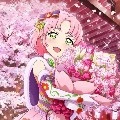 sakura