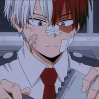 Todoroki shoto