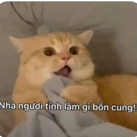 All_mọi người