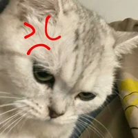 con t/g bị ume ruby