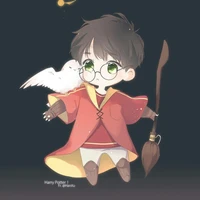 Harry Potter (nhỏ)