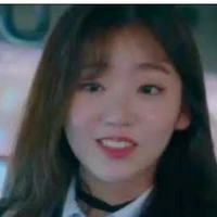 sae mi