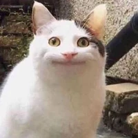 tg