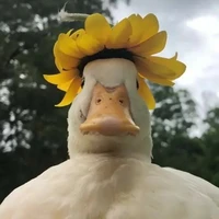 t/g