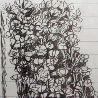 Tác giả vã hus ♢♢