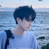 Diệp Song Tử [@Gemini_Bridge]