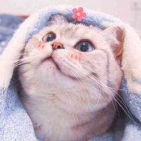 T/g lười