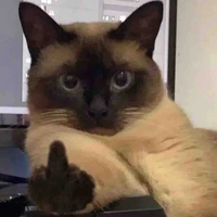 Con tác giả bị đi tù