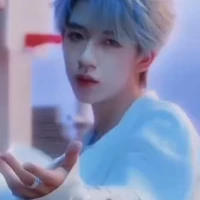 Hạ Tuấn Lâm