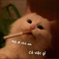 Nv phụ