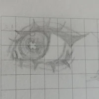Hs