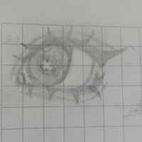 Hs