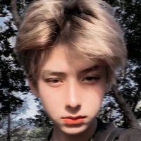 Lâm Hiểu Phong-anh