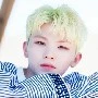 lee ji hoon(woozi)