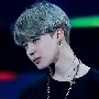 Park jimin (jimin/Y)