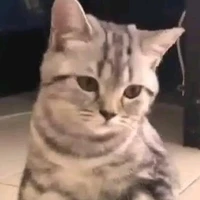 Tác giả