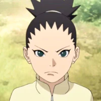 Nara Shikadai